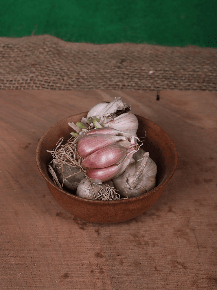 Harud Kashmiri Dried Garlic(250gm) - Shopping in Kashmir
