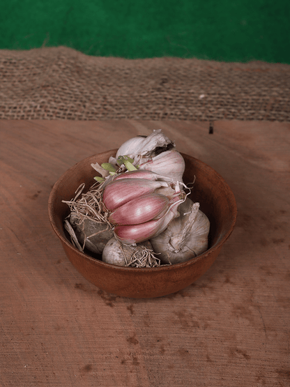 Harud Kashmiri Dried Garlic(250gm) - Shopping in Kashmir