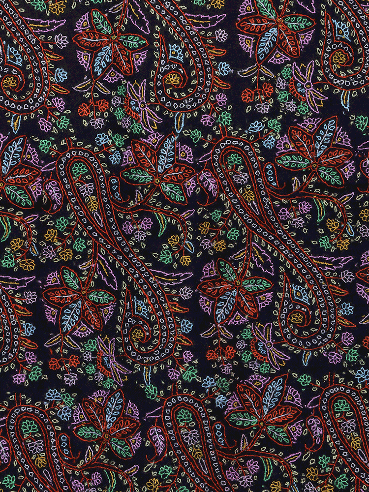 Pallu Stripped Black Jama Pashmina Shawl - Shopping in Kashmir