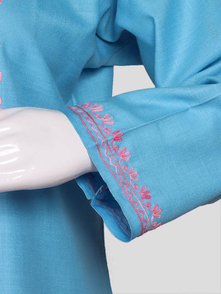 nAARI Kashmiri Aari Embroidered Sky Blue Cotton Coord Set - Shopping in Kashmir